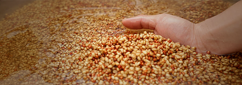 亚洲必赢国际·437ccm(中国区)官方网站