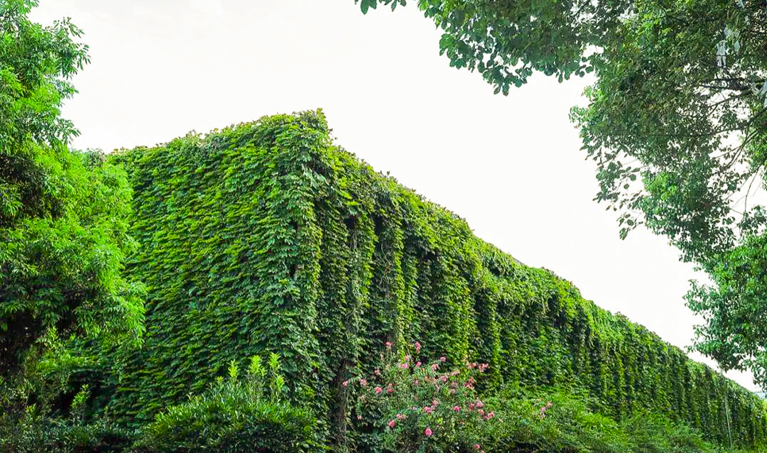 亚洲必赢国际·437ccm(中国区)官方网站