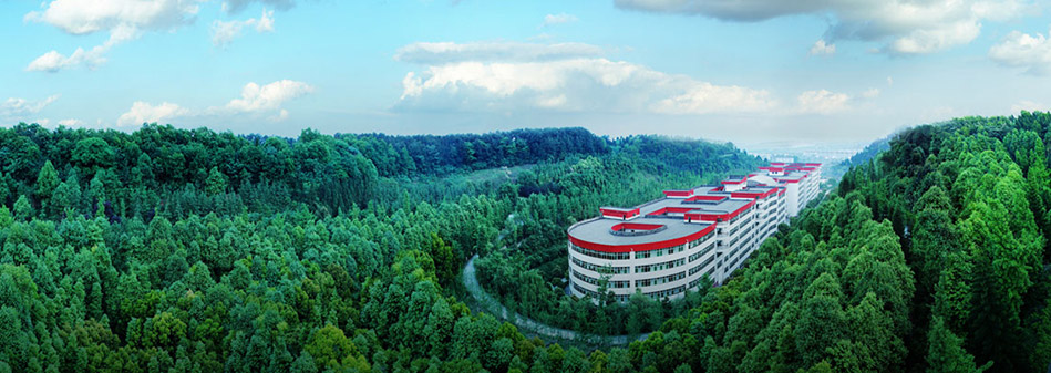 亚洲必赢国际·437ccm(中国区)官方网站