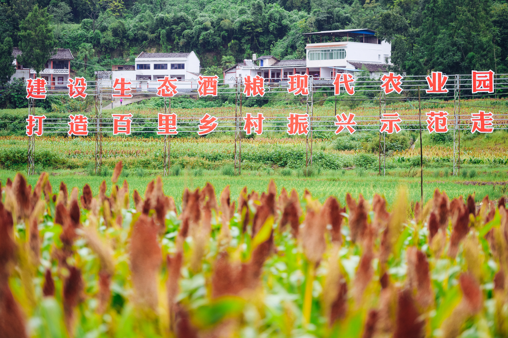 亚洲必赢国际·437ccm(中国区)官方网站