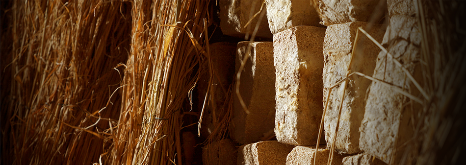 亚洲必赢国际·437ccm(中国区)官方网站